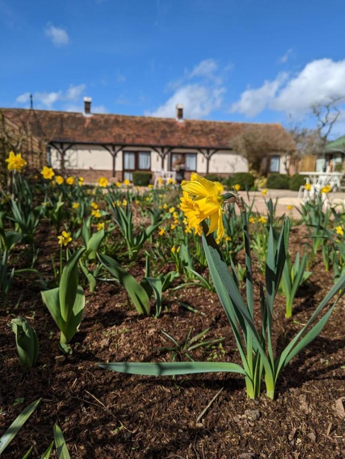Kingfisher Barn B&B Abingdon-on-Thames Eksteriør bilde