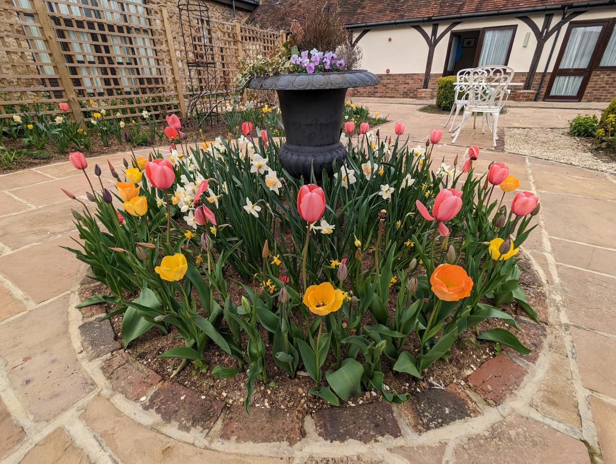 Kingfisher Barn B&B Abingdon-on-Thames Eksteriør bilde